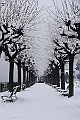 Lago di Como